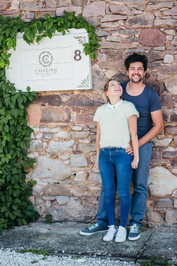 Cselling Udvarház Révfülöp Exteriér fotografie