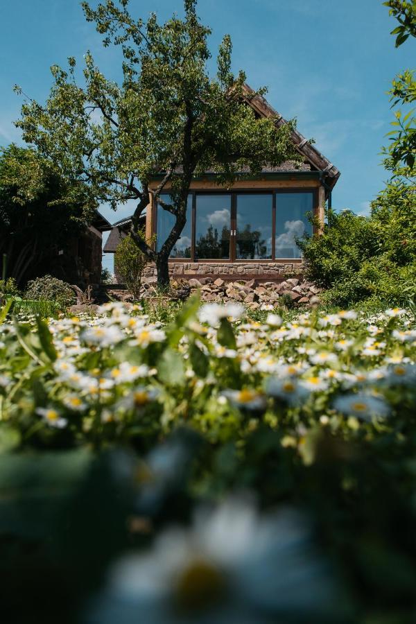 Cselling Udvarház Révfülöp Exteriér fotografie