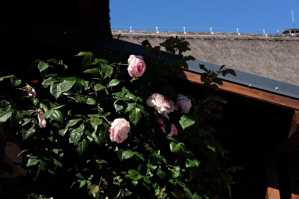 Cselling Udvarház Révfülöp Exteriér fotografie